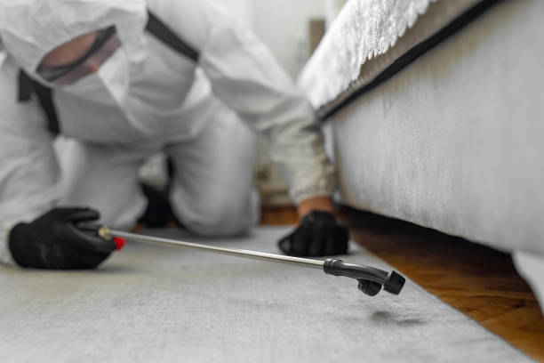 Professional Bed Bug Control technician working in Bourbonnais, IL