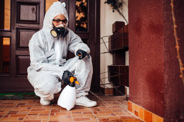 Reliable Bed Bug Control contractor in Bourbonnais, IL by Nex Pest Control