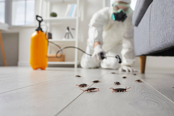 Trusted Fumigation Services service in Bourbonnais, IL - Nex Pest Control